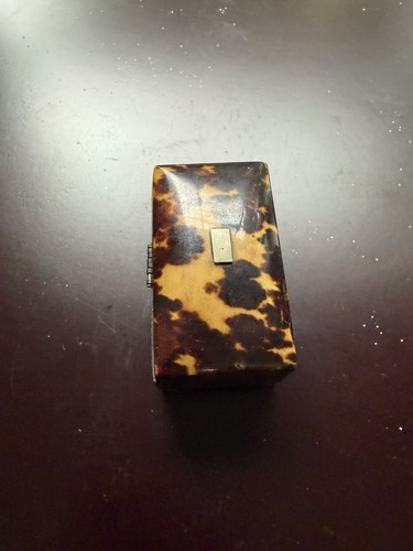 English faux tortoise - english, shell